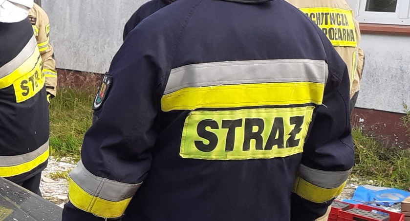 Zdjęcie jest ilustracją do tekstu