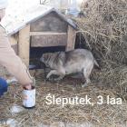 zdjęcie nr 20