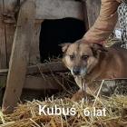 zdjęcie nr 10