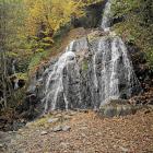 IMG_20211103_105156
