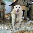 zdjęcie nr 14