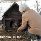 zdjęcie nr 16