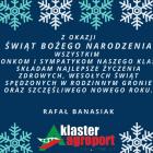 zdjęcie nr 19