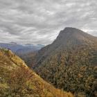 IMG_20211103_103949