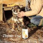 zdjęcie nr 7