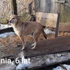 zdjęcie nr 18