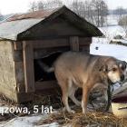 zdjęcie nr 22